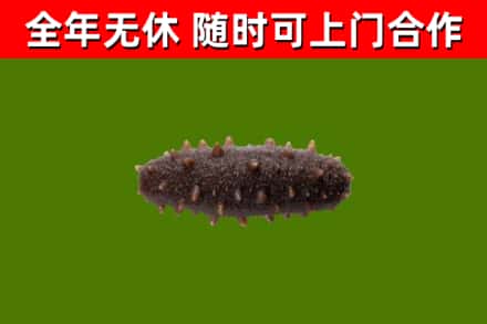 承德烟酒回收干海参.jpg